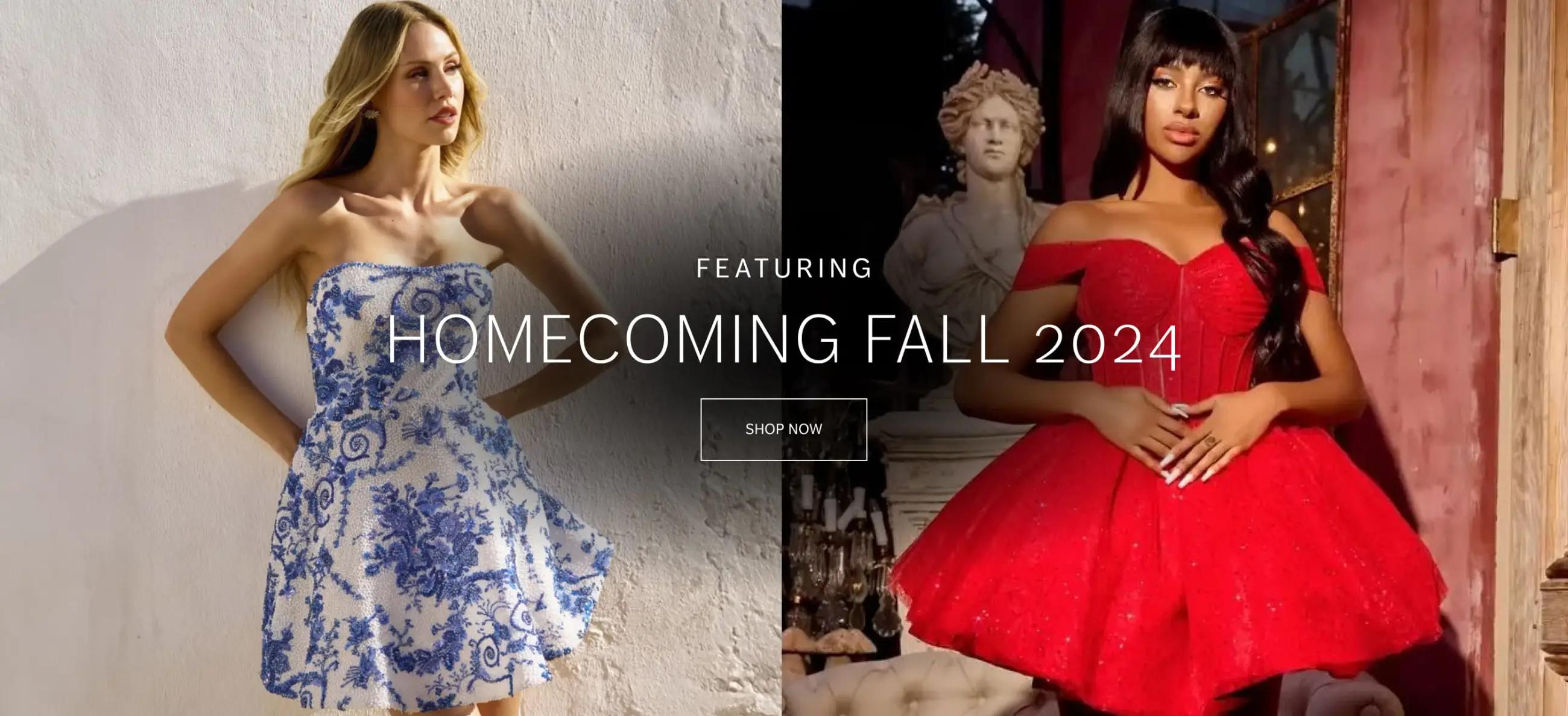 Desktop Homecoming Fall 2024 Banner